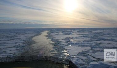 Expedição antártica faz descoberta surpreendente no fundo do mar