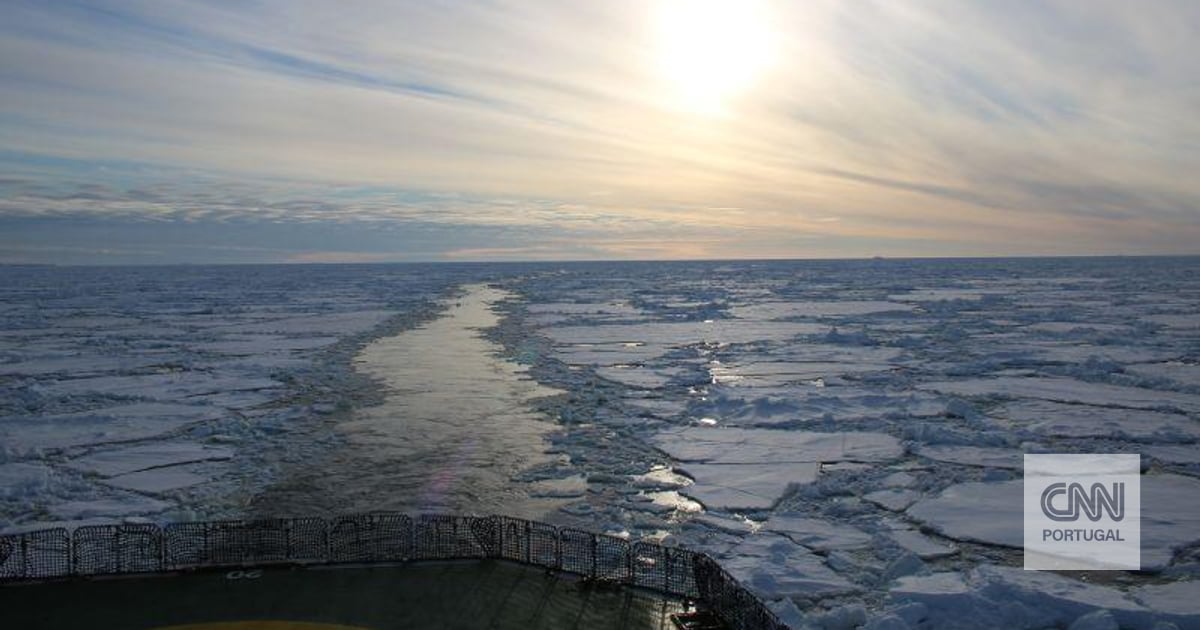 Expedição antártica faz descoberta surpreendente no fundo do mar