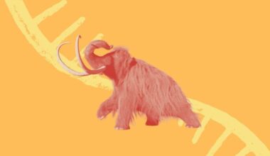 Cientistas isolam RNA de mamute com 40 mil anos preservado no permafrost siberiano