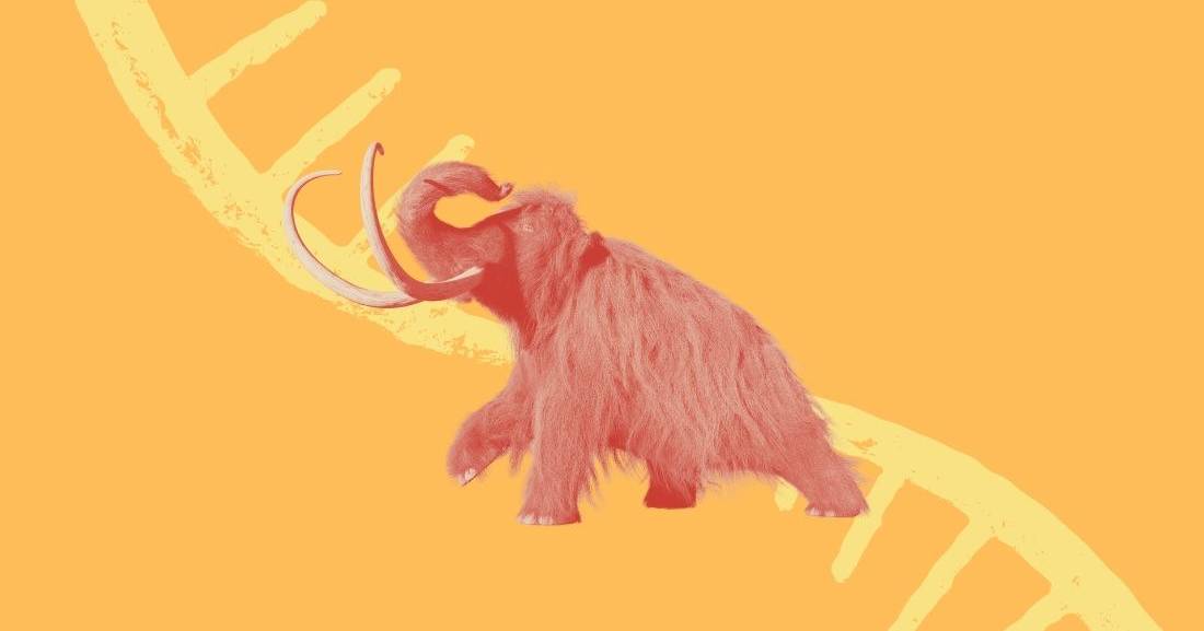 Cientistas isolam RNA de mamute com 40 mil anos preservado no permafrost siberiano