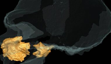 Novo estudo sobre Neandertal de Altamura desvenda mistério da adaptação ao frio