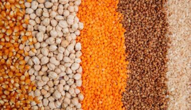 Grão saboroso “suga” o açúcar do sangue e age no controle da glicose