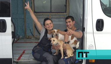 Este casal português construiu a própria casa sobre rodas. Agora quer chegar à China — NiT