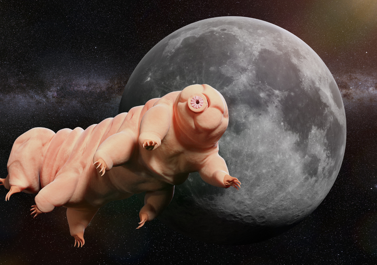 a criatura que desafia as leis da vida