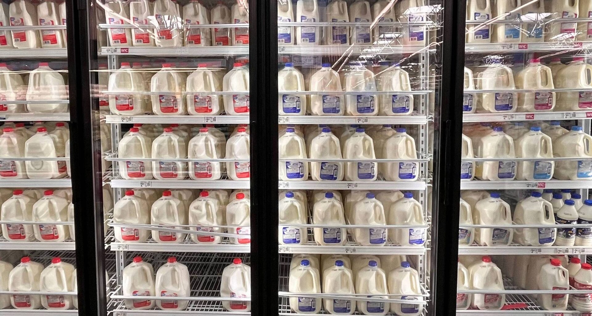 Ciência revê riscos dos laticínios integrais - 28/11/2025 - Equilíbrio