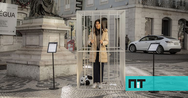Esta jaula com uma mulher presa está a chocar toda a gente no Chiado — NiT