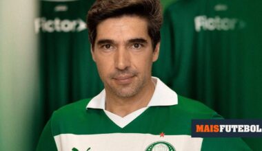 Luisão: «Não acredito que o Abel vá atirar a toalha ao chão»