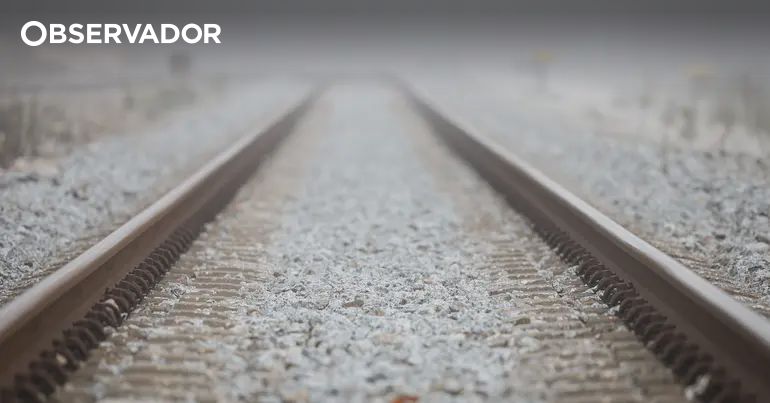 Linha do Minho normalizada após atropelamento mortal – Observador