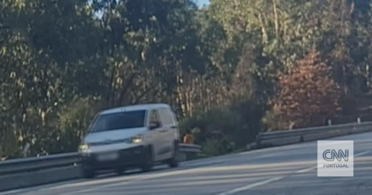 Autarquia da Lousada coloca blocos de betão nos acessos florestais para impedir prostituição - CNN Portugal