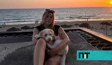 Chili foi eletrocutado na rua em Lisboa. Já morreram três cães assim numa semana — NiT