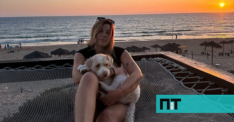 Chili foi eletrocutado na rua em Lisboa. Já morreram três cães assim numa semana — NiT