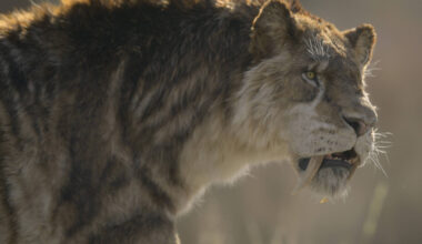 Série traz a melhor recriação dos gigantes da Era do Gelo - 29/11/2025 - Reinaldo José Lopes
