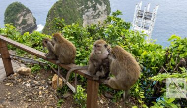 Governador de Bali manda demolir polémico elevador de vidro