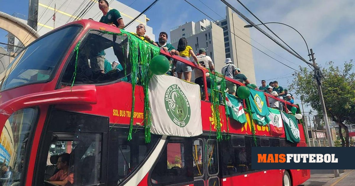 Adepto do Palmeiras morre antes da Libertadores após bater com a cabeça em ponte