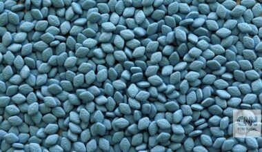 “Acabam por ficar dependentes da medicação”. Por falha ou para durarem mais tempo, há homens jovens a procurar ajuda para a disfunção erétil