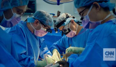 Estamos "visivelmente mais perto" de conseguir que rins de porco funcionem em seres humanos