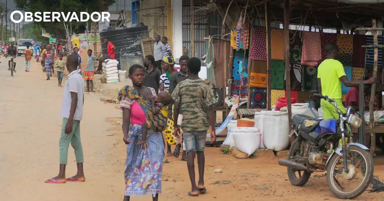 Moçambique. Pelo menos sete camponeses degolados em Metuge – Observador