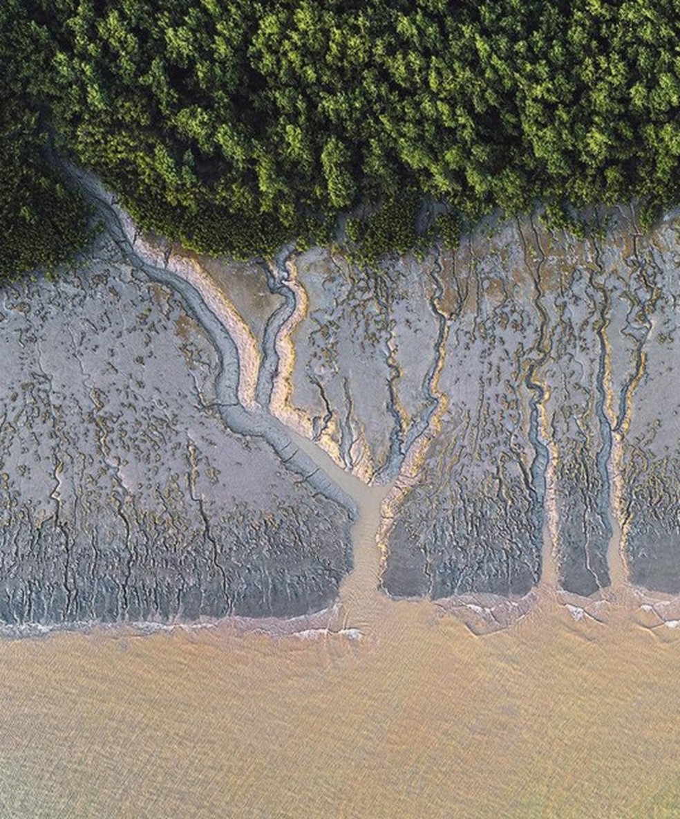 Projeções gigantes, fluidas e em constante transformação da lama na foz do Amazonas fotografadas por Luciano Candisani — Foto: Divulgação/Luciano Candisani