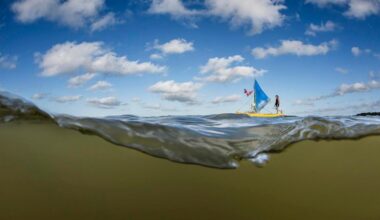 Em livro, fotógrafo documenta Amazônia onde onças pescam no mar e águas se misturam a campos de lama quilométricos