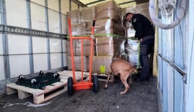 Jornal de Notícias Logo