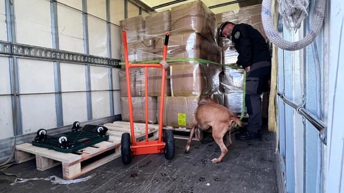 Jornal de Notícias Logo