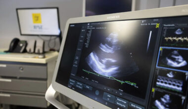 Jornal de Notícias Logo