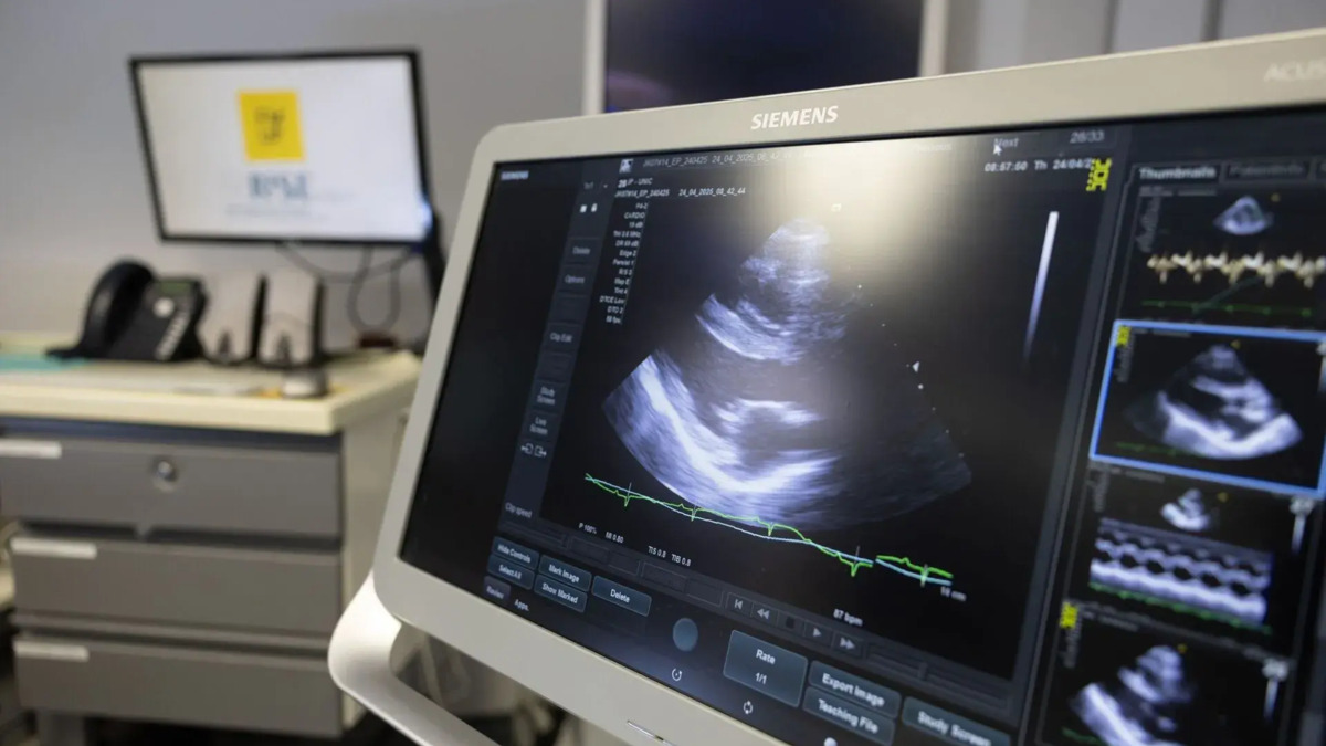 Jornal de Notícias Logo