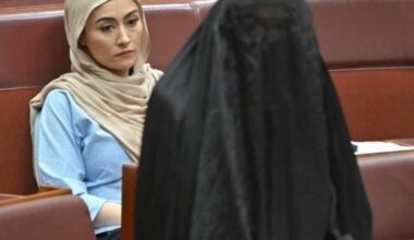 Jornal de Notícias Logo