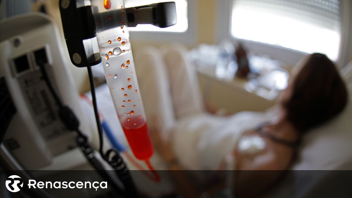 Liga Contra Cancro lamenta impasse nos rastreios a cancro do pulmão, estômago e próstata