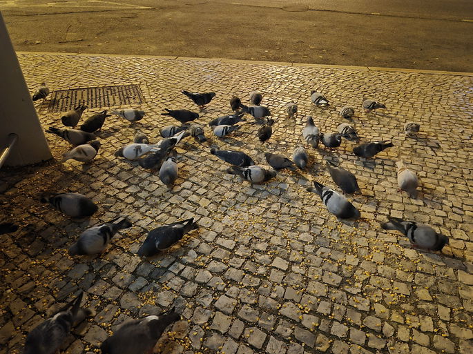 Samsung Galaxy S25 FE câmara modo noturno