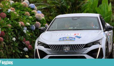 Testámos o Peugeot E-408 em dois ralis e descobrimos um leão de garras afiadas | Crítica