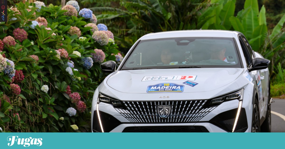Testámos o Peugeot E-408 em dois ralis e descobrimos um leão de garras afiadas | Crítica