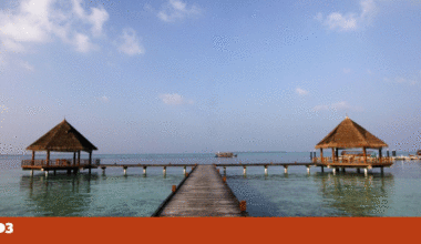 Maldivas tornam-se o único país do mundo com proibição geracional de tabaco | Saúde