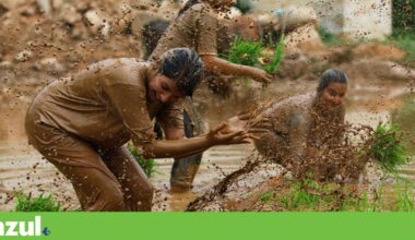 Nepal é o país com maior conexão à natureza. Espanha em último, Portugal em 39.º | Ambiente