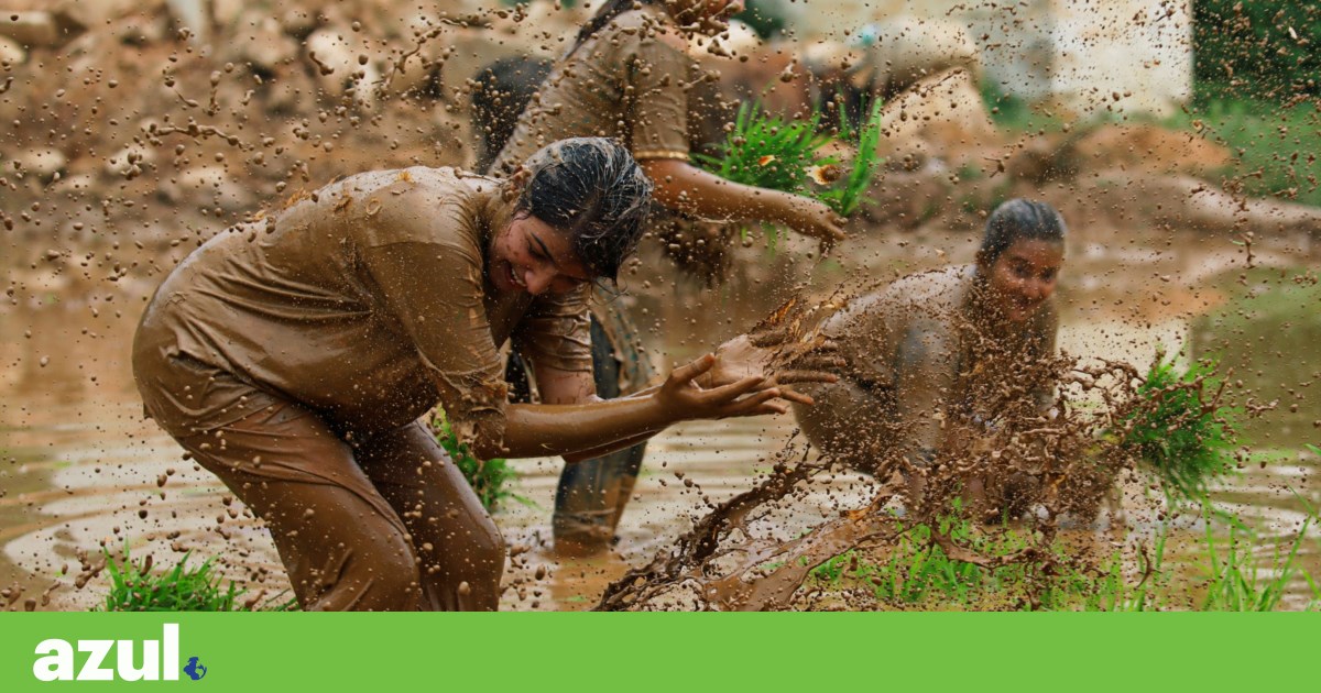 Nepal é o país com maior conexão à natureza. Espanha em último, Portugal em 39.º | Ambiente
