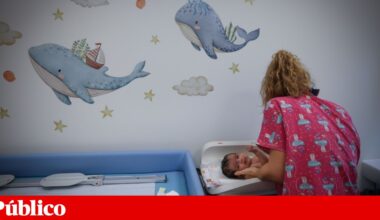 Imigração em Portugal cai 2%, peso de médicos estrangeiros abaixo da média da OCDE | Imigração