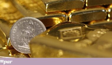 Francês encontra tesouro no jardim de casa | França