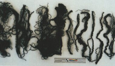 PJ pede ajuda à população de Lisboa em investigação a homicídio de um bebé | Crime