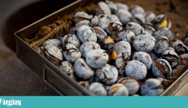 O que fazer neste fim-de-semana? Andar à volta da castanha, do chocolate e do barroco | Lazer