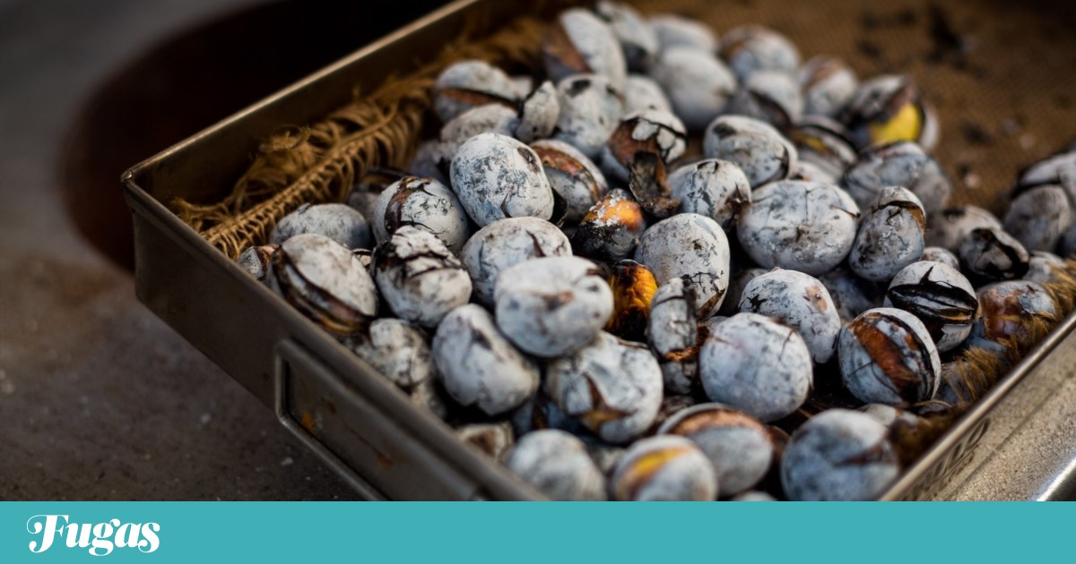 O que fazer neste fim-de-semana? Andar à volta da castanha, do chocolate e do barroco | Lazer