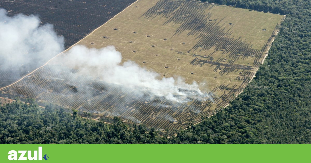 Uma COP30 à procura de identidade — e de financiamento | COP30