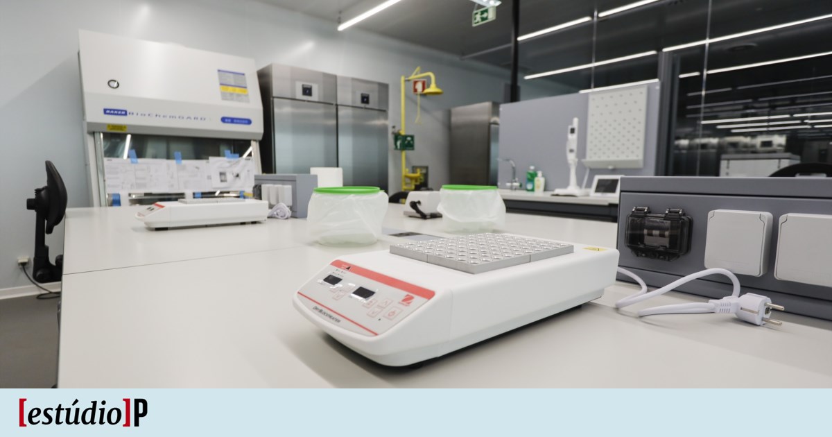 Laboratório de Biologia Molecular: Pingo Doce é caso único | Conteúdo comercial