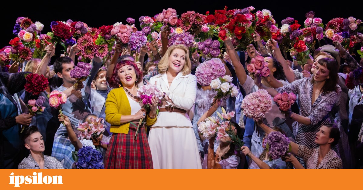 Fim-de-semana na TV: de Angola ao Japão, com o nosso Papa e As Horas | Televisão