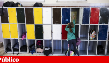 Organizações da sociedade civil pedem resposta à violência nas escolas | Educação