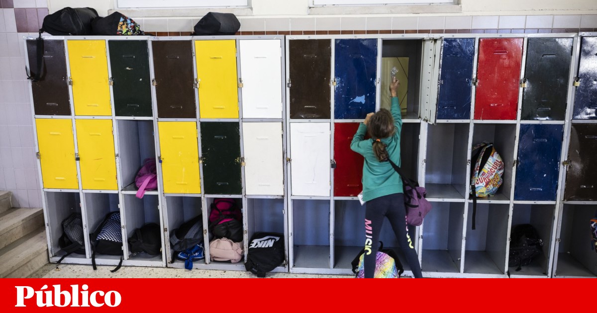 Organizações da sociedade civil pedem resposta à violência nas escolas | Educação