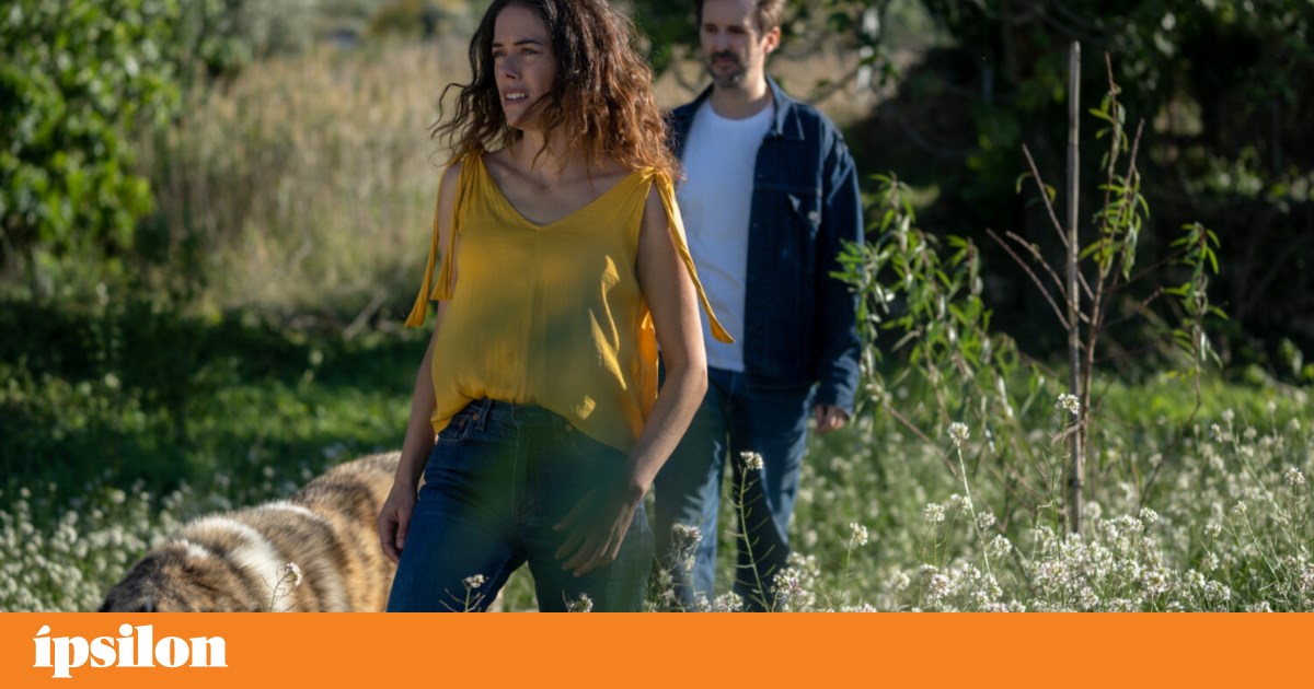 Pequenos Clarões, Complô e outras estreias para esta semana | Cinema