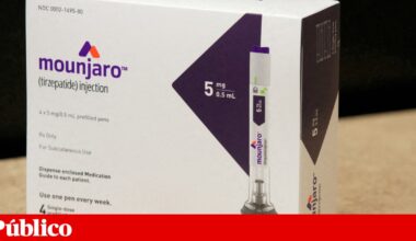 Fármaco para a obesidade actua temporariamente no “centro de recompensa” do cérebro | Neurociências