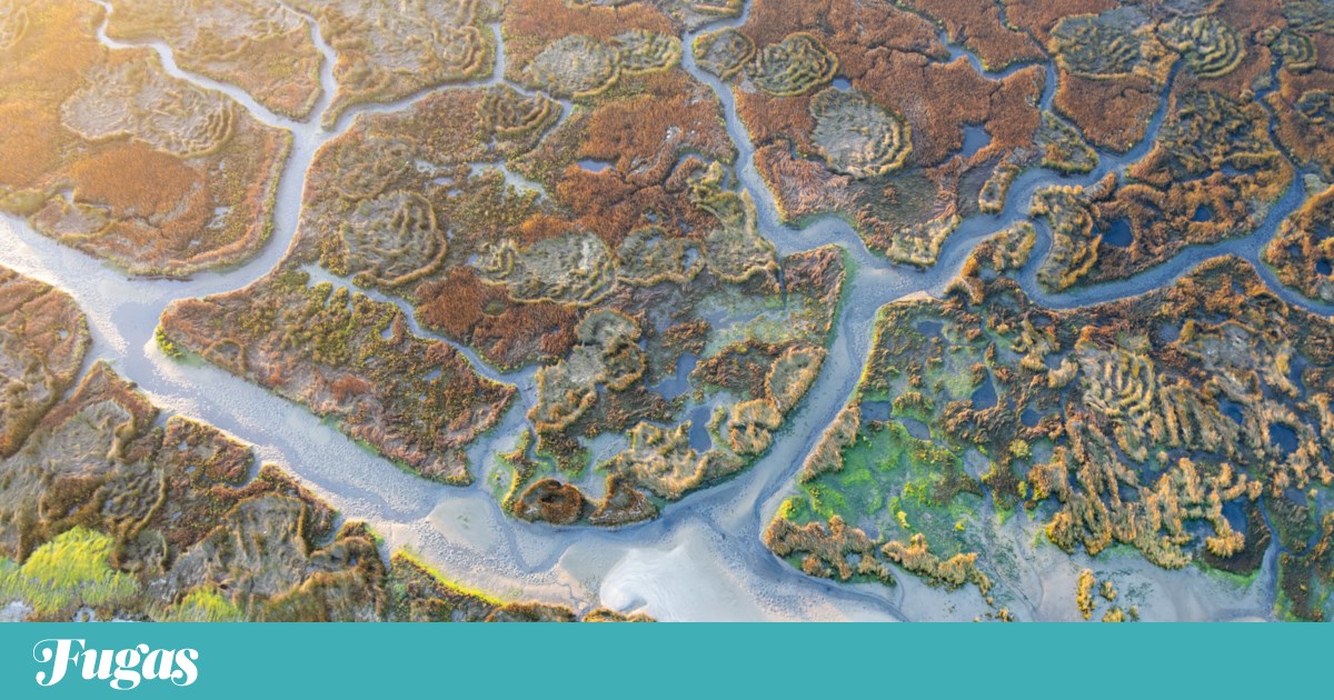 Mário Cunha eleito Fotógrafo de Paisagem do Ano no Imaginature | Fotografia