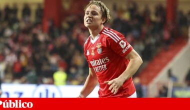 Prisão com pena suspensa para Schjelderup por partilhar vídeo sexual com menores | Justiça