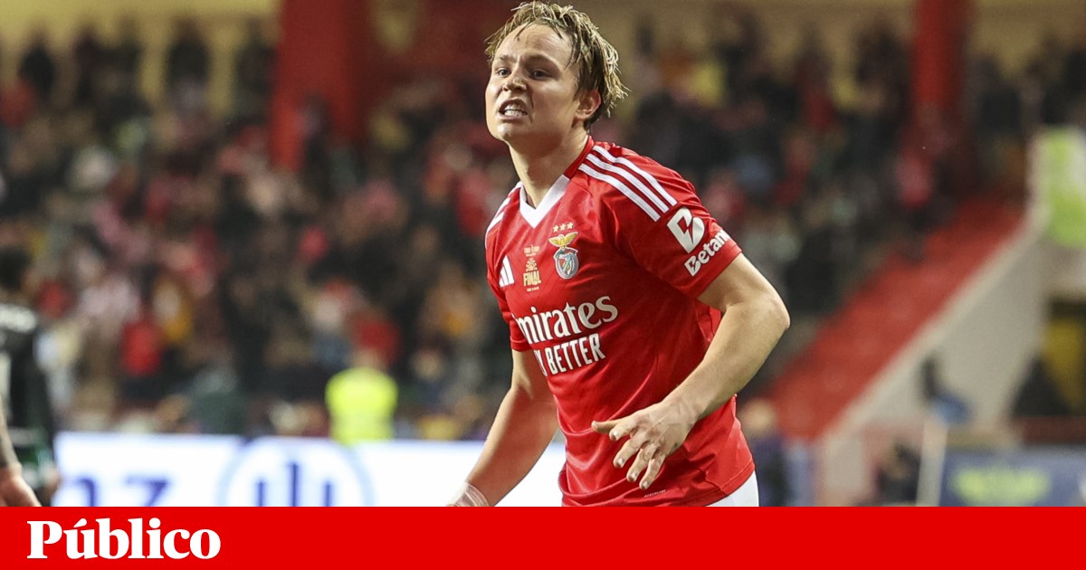 Prisão com pena suspensa para Schjelderup por partilhar vídeo sexual com menores | Justiça